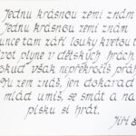 pp 1