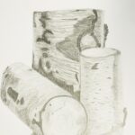 kz 12